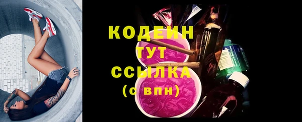 ПСИЛОЦИБИНОВЫЕ ГРИБЫ Богданович