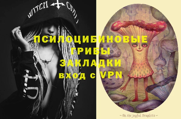 круглые Аркадак