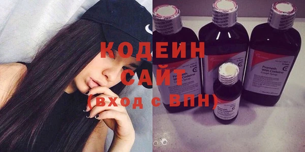 ПСИЛОЦИБИНОВЫЕ ГРИБЫ Богданович